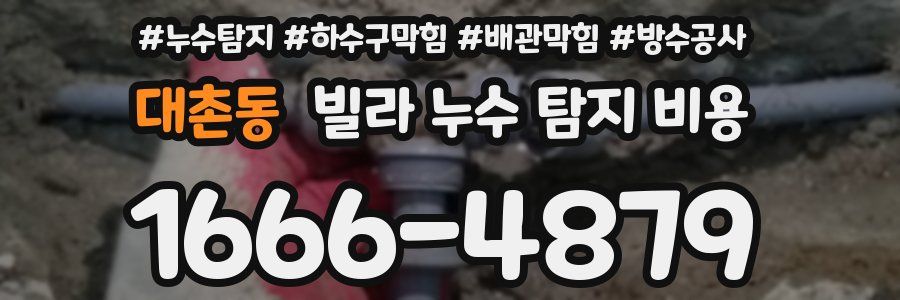 대촌동 빌라 누수 탐지 비용