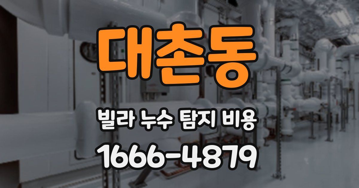 대촌동 빌라 누수 탐지 비용