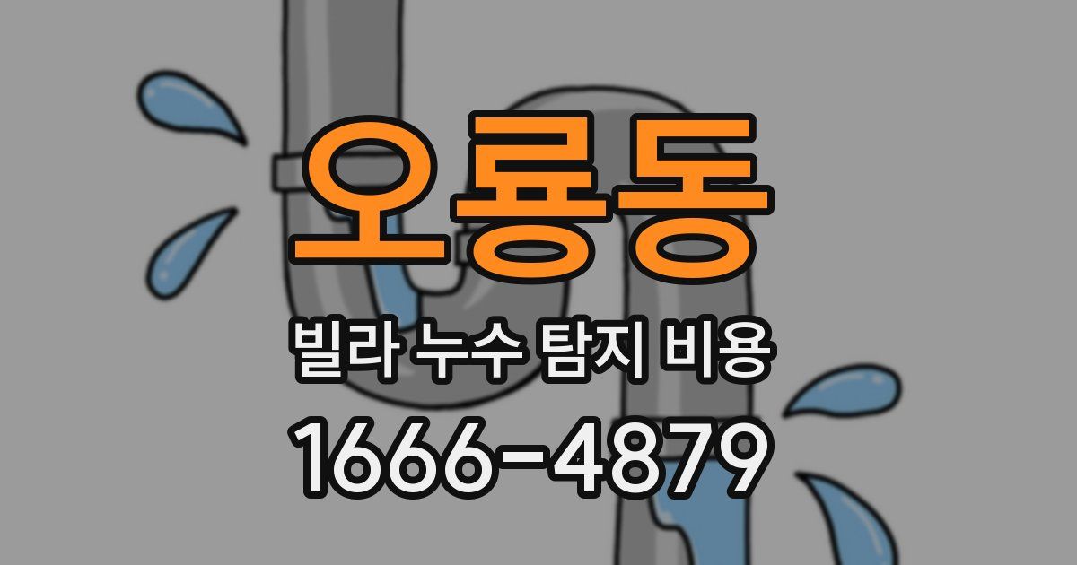 오룡동 빌라 누수 탐지 비용