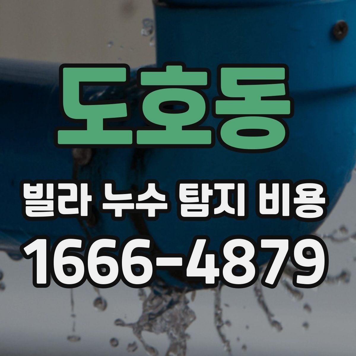 도호동 빌라 누수 탐지 비용
