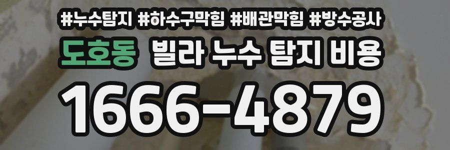 도호동 빌라 누수 탐지 비용