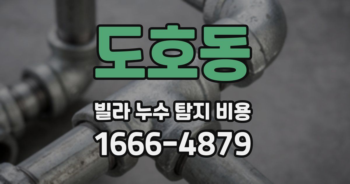 도호동 빌라 누수 탐지 비용