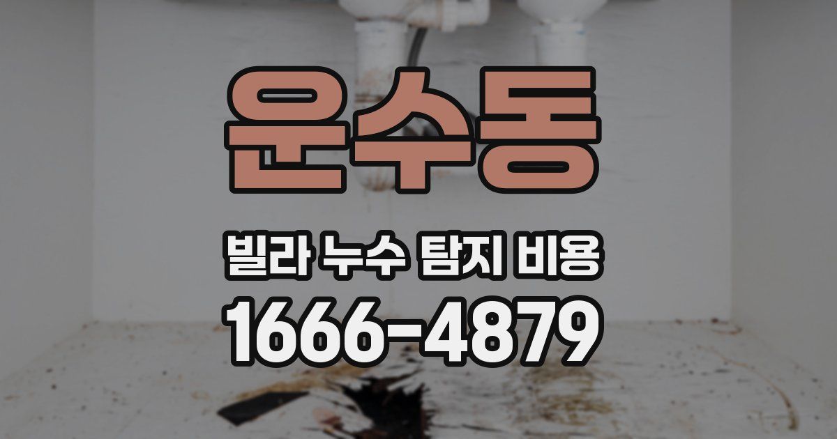 운수동 빌라 누수 탐지 비용