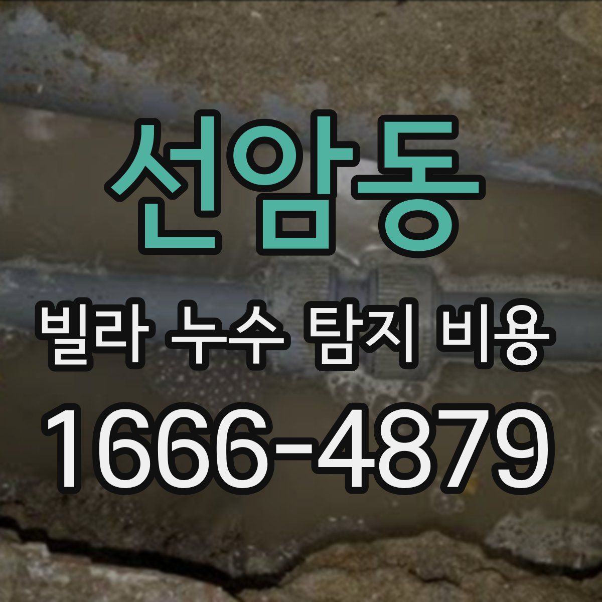 선암동 빌라 누수 탐지 비용