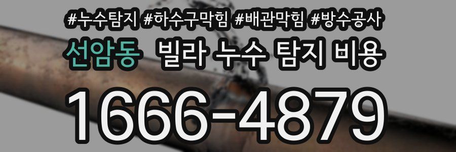 선암동 빌라 누수 탐지 비용