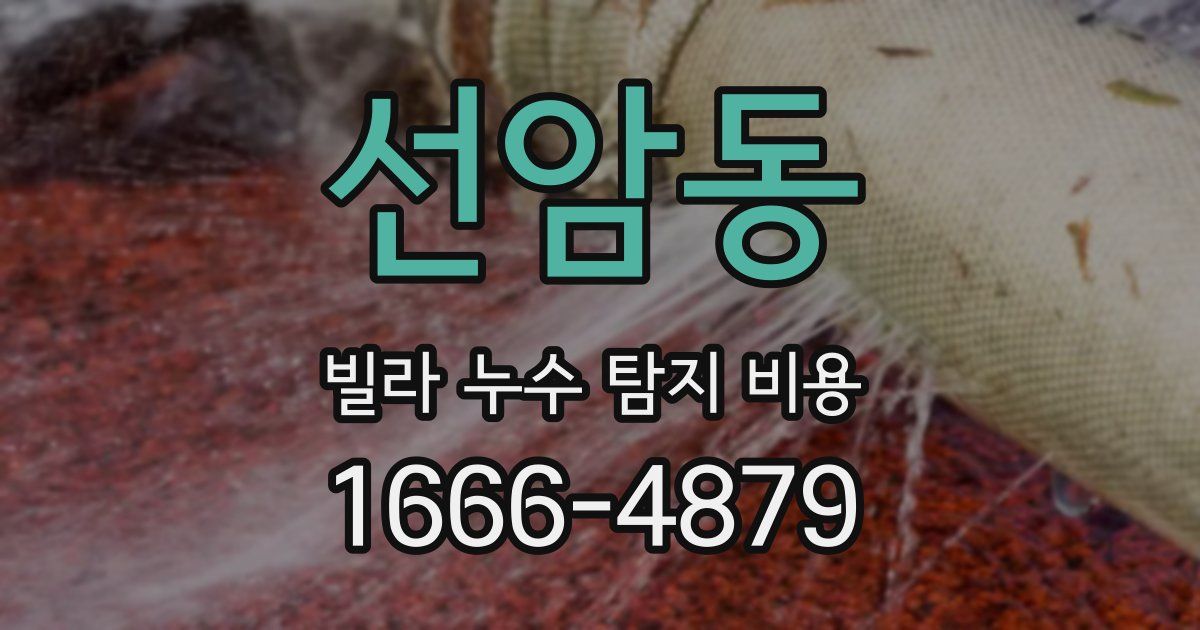 선암동 빌라 누수 탐지 비용