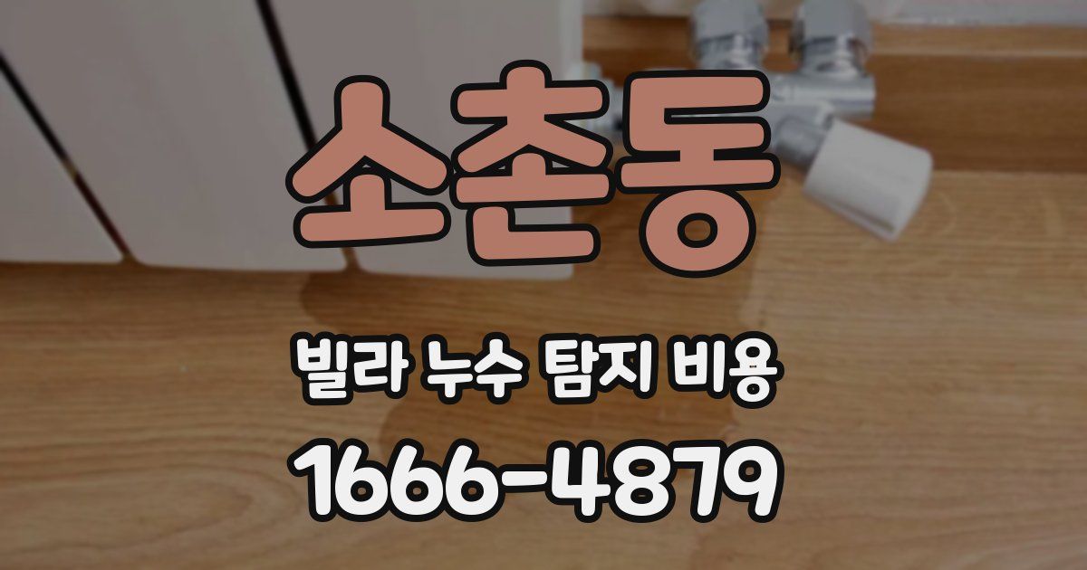 소촌동 빌라 누수 탐지 비용