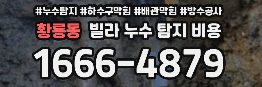 황룡동 빌라 누수 탐지 비용