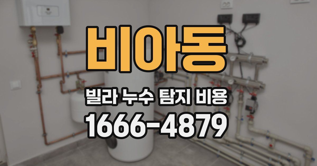 비아동 빌라 누수 탐지 비용