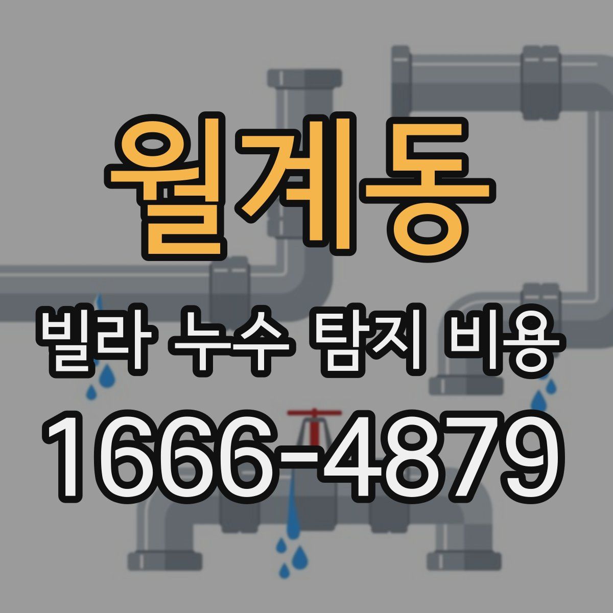 월계동 빌라 누수 탐지 비용