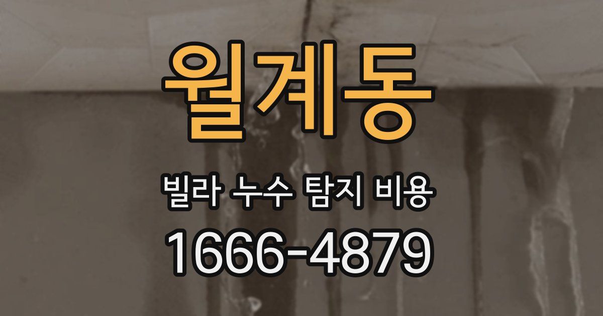 월계동 빌라 누수 탐지 비용