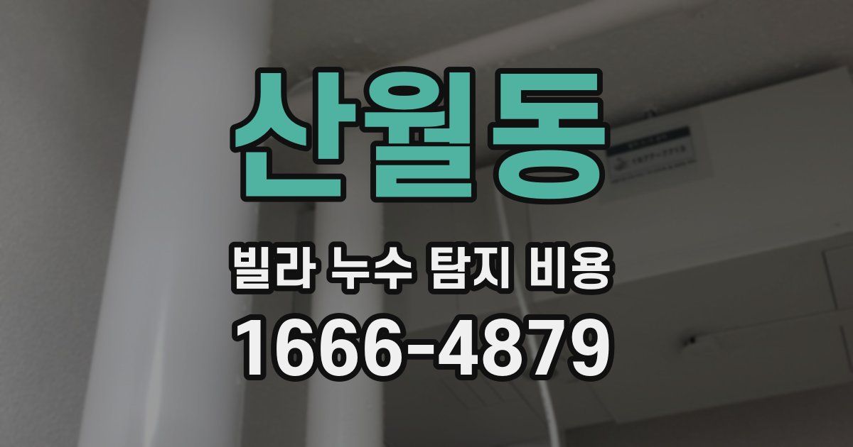 산월동 빌라 누수 탐지 비용