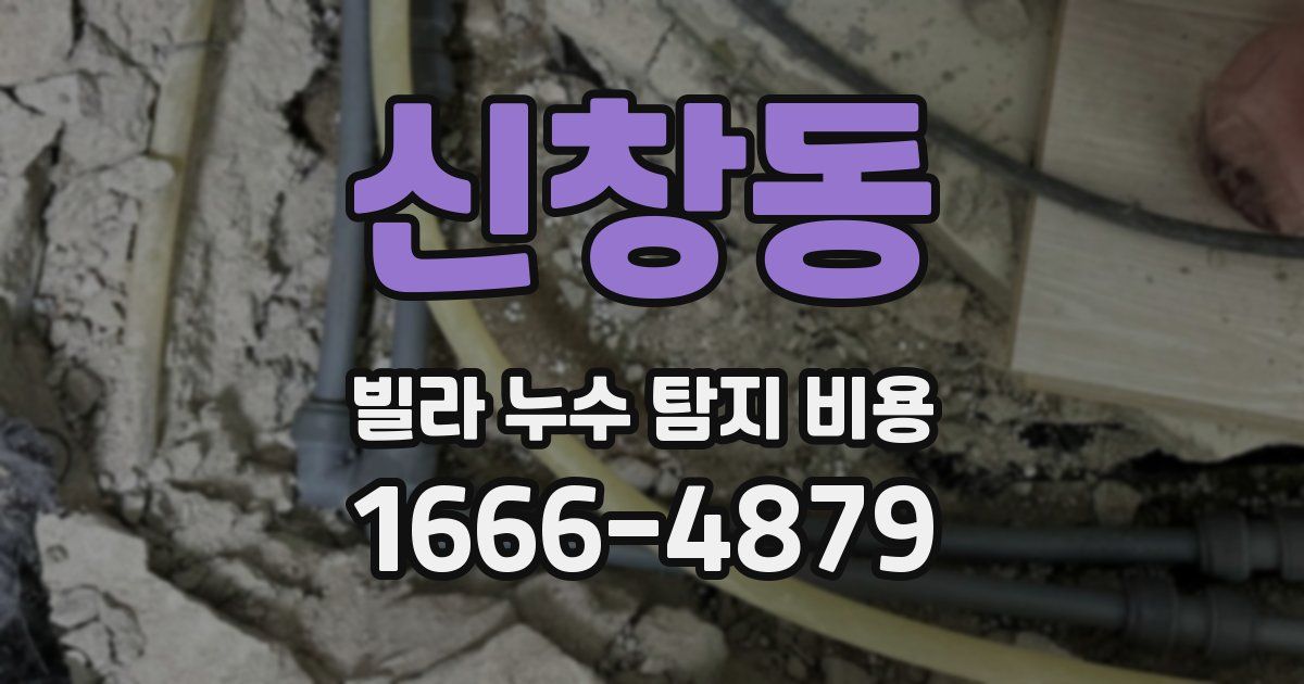 신창동 빌라 누수 탐지 비용