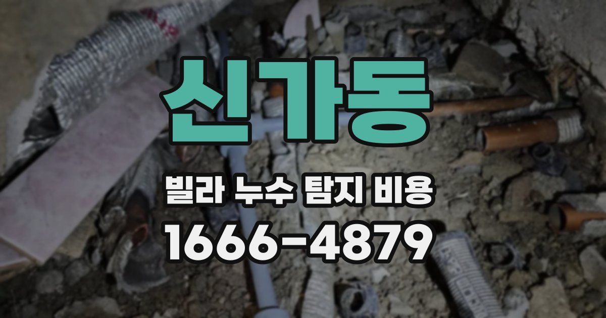 신가동 빌라 누수 탐지 비용