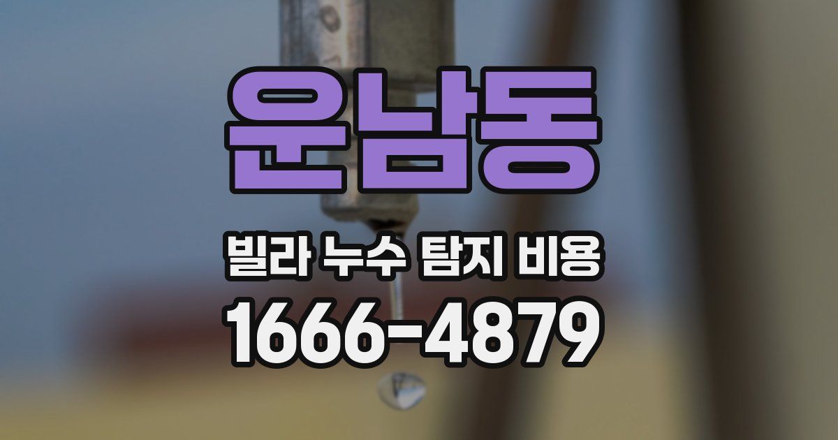 운남동 빌라 누수 탐지 비용