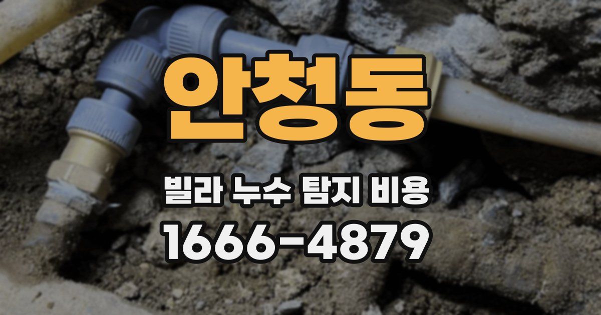 안청동 빌라 누수 탐지 비용