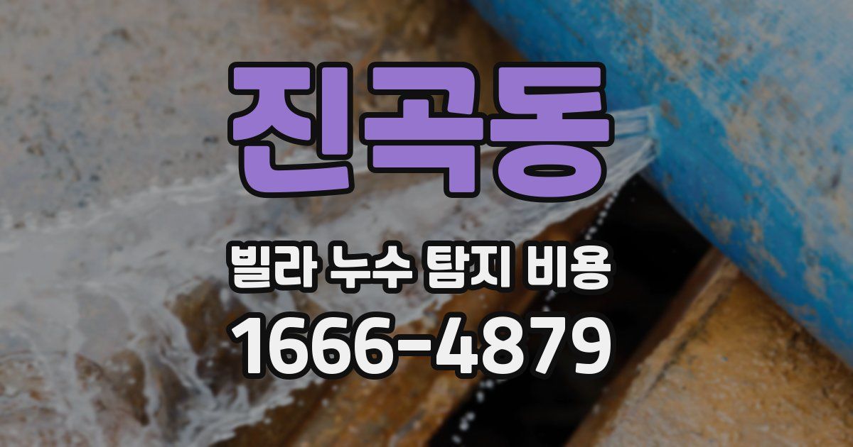 진곡동 빌라 누수 탐지 비용