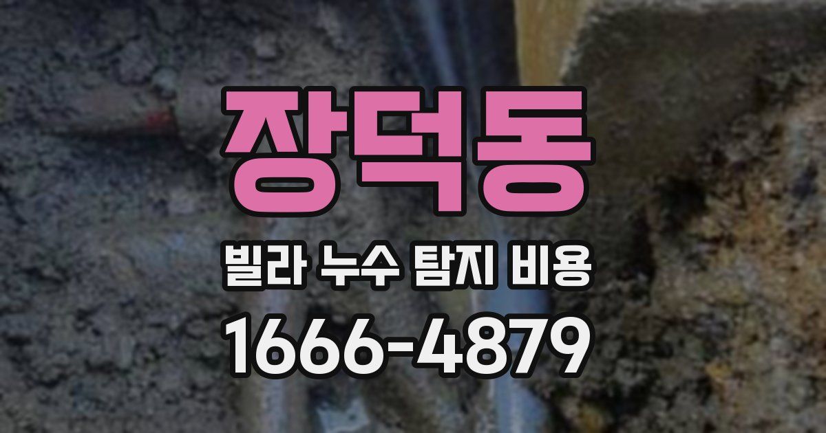 장덕동 빌라 누수 탐지 비용