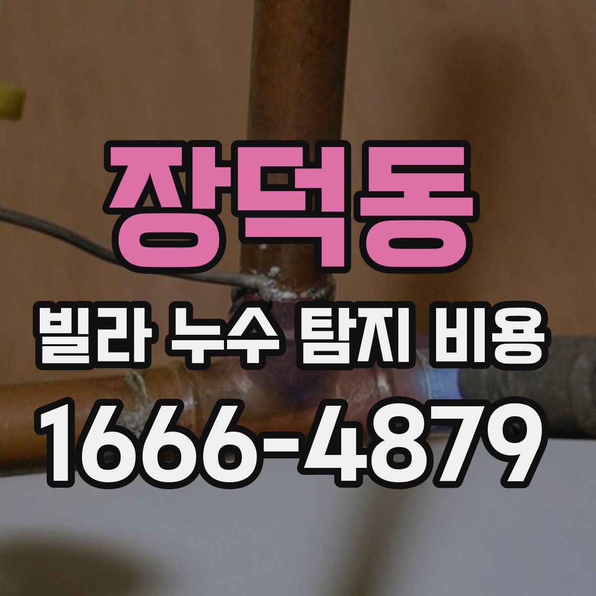 장덕동 빌라 누수 탐지 비용
