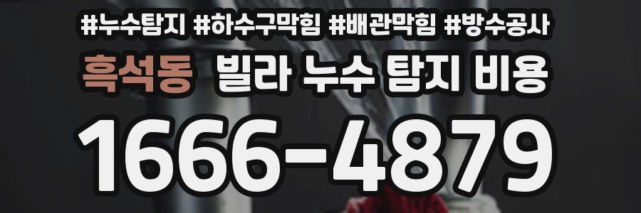 흑석동 빌라 누수 탐지 비용