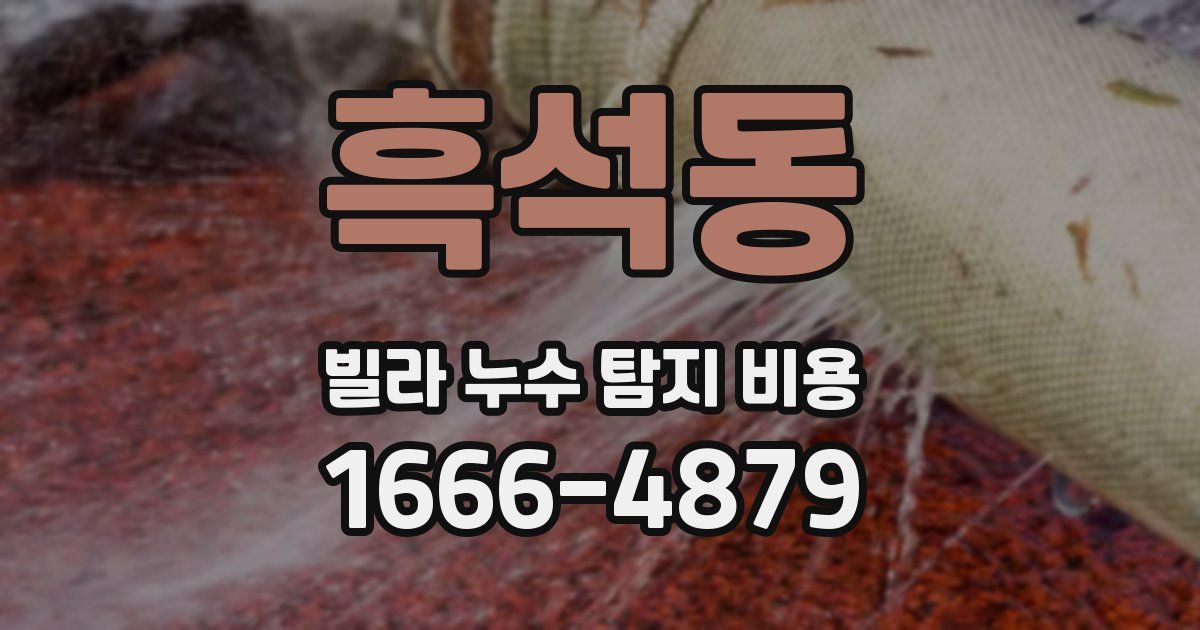 흑석동 빌라 누수 탐지 비용