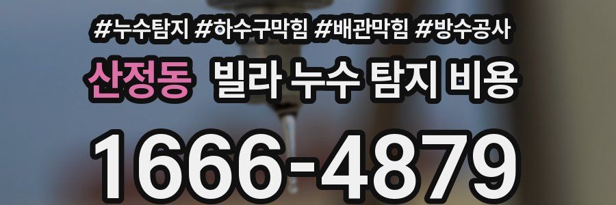 산정동 빌라 누수 탐지 비용