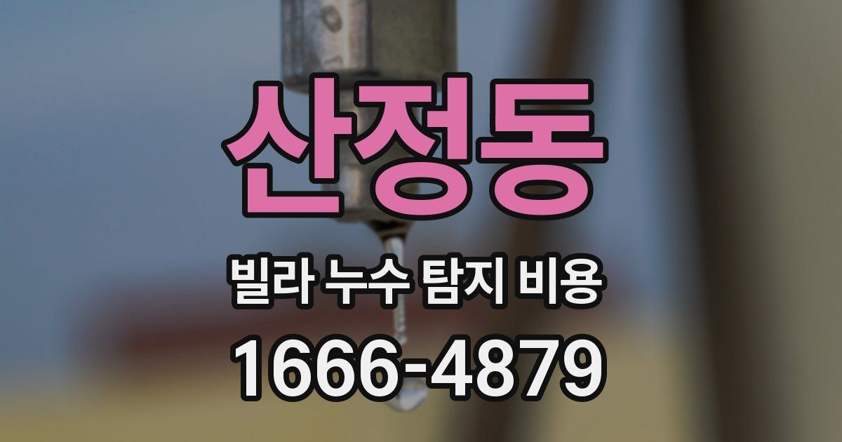 산정동 빌라 누수 탐지 비용