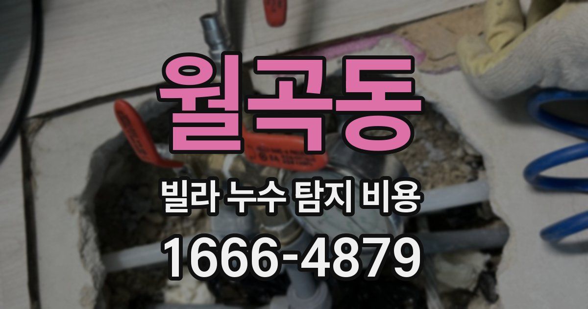 월곡동 빌라 누수 탐지 비용