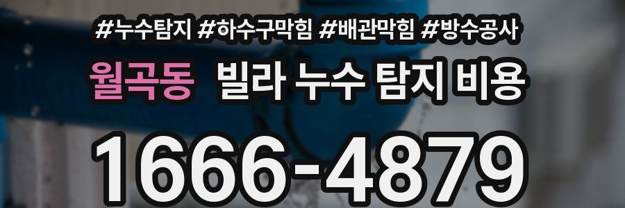 월곡동 빌라 누수 탐지 비용