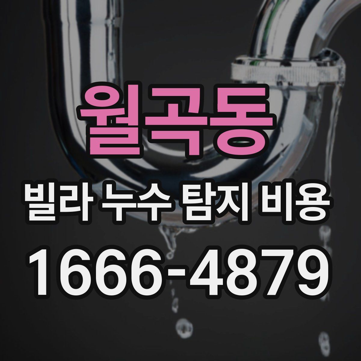 월곡동 빌라 누수 탐지 비용