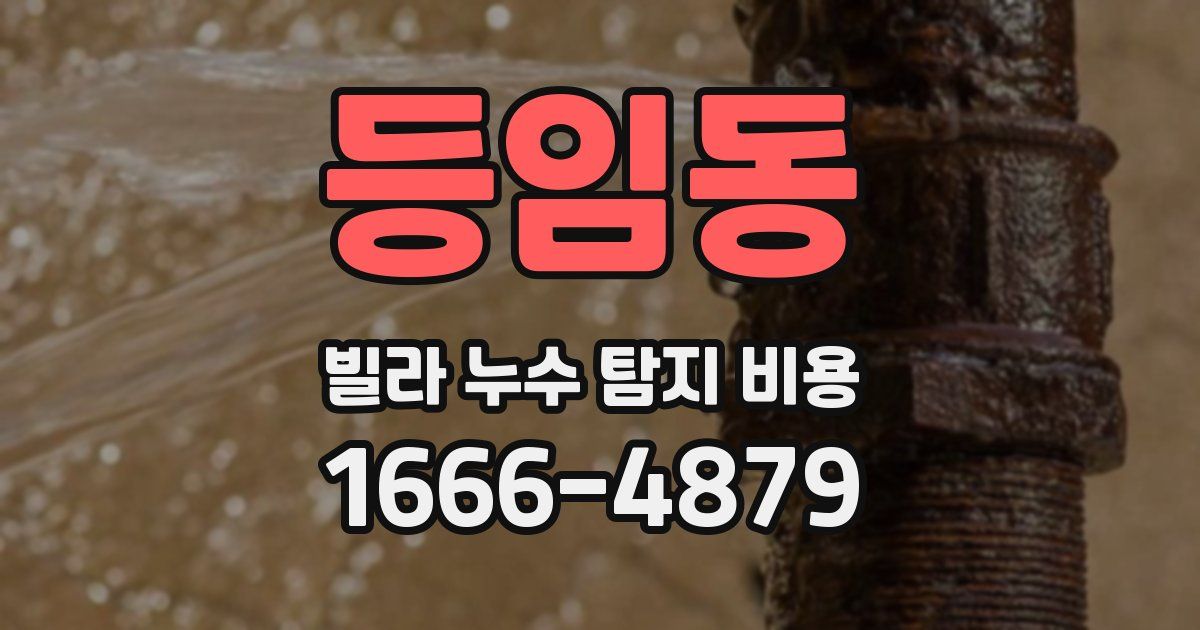 등임동 빌라 누수 탐지 비용