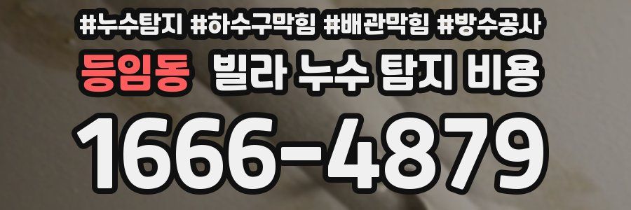 등임동 빌라 누수 탐지 비용