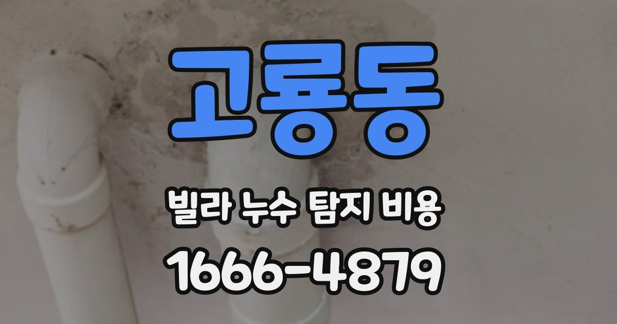 고룡동 빌라 누수 탐지 비용