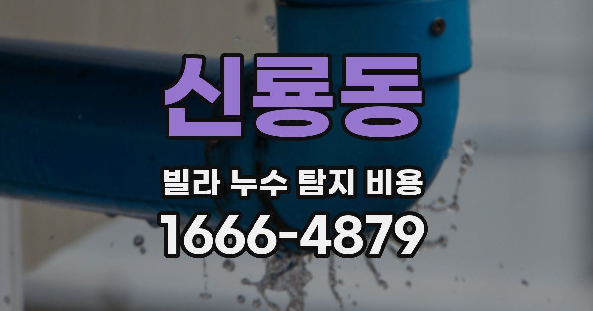 신룡동 빌라 누수 탐지 비용