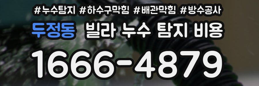 두정동 빌라 누수 탐지 비용