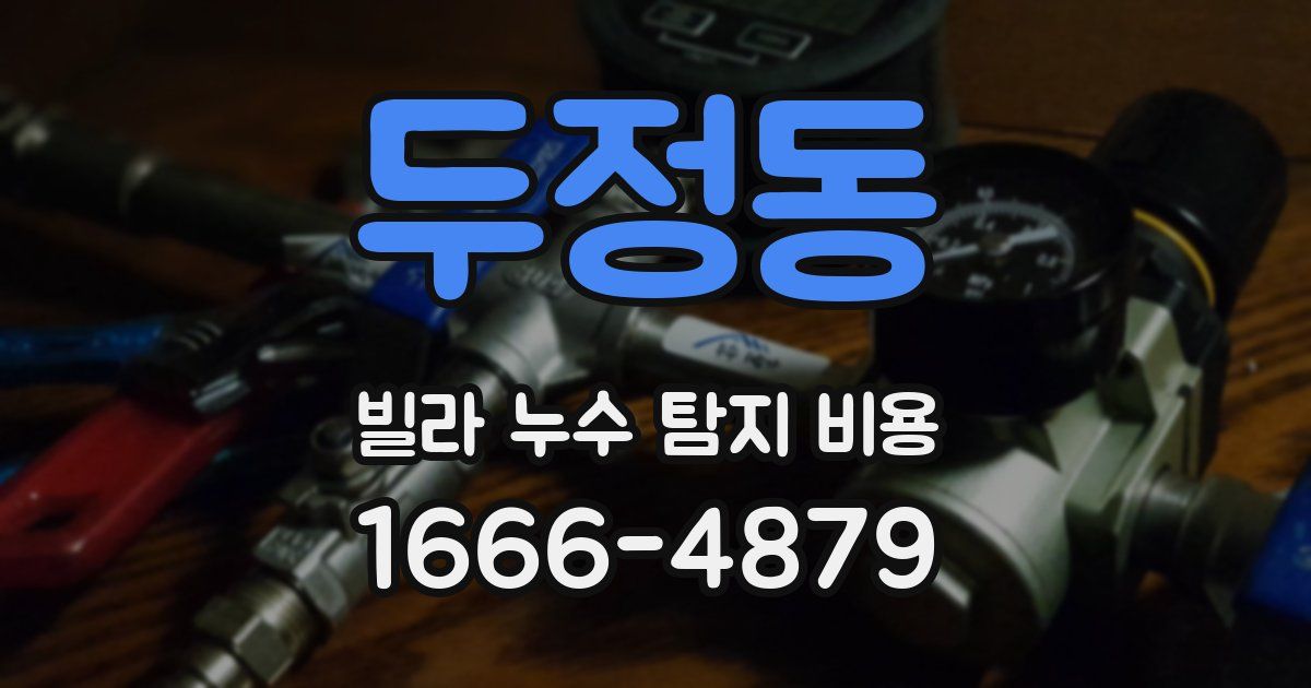 두정동 빌라 누수 탐지 비용