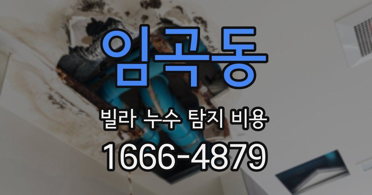 임곡동 빌라 누수 탐지 비용