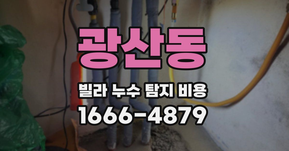 광산동 빌라 누수 탐지 비용