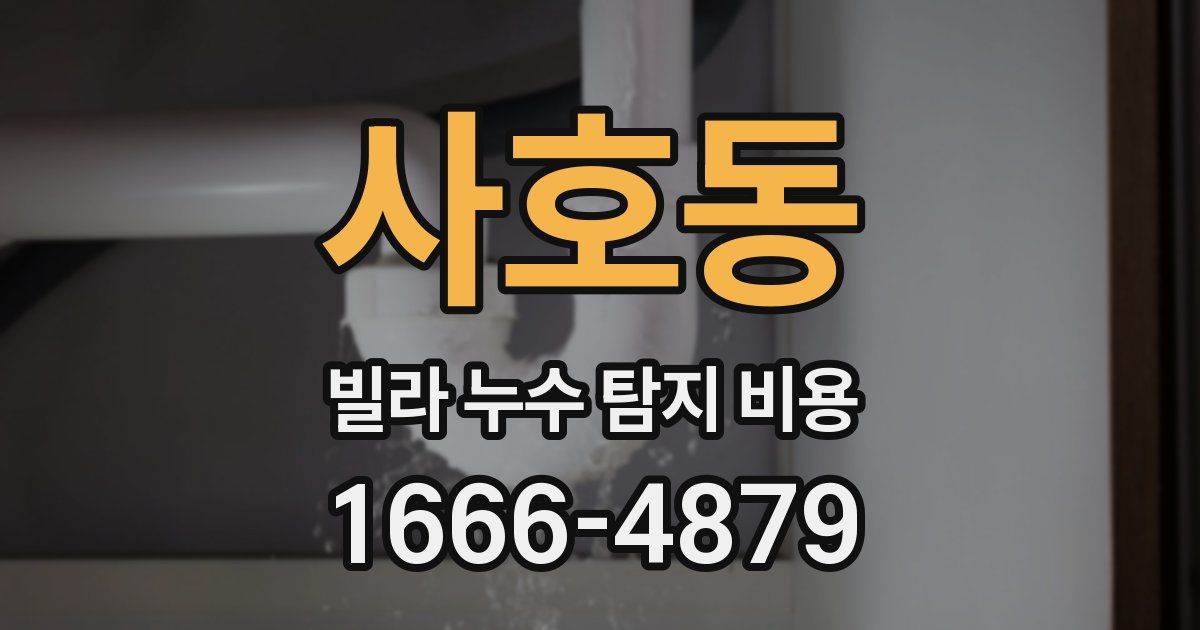 사호동 빌라 누수 탐지 비용