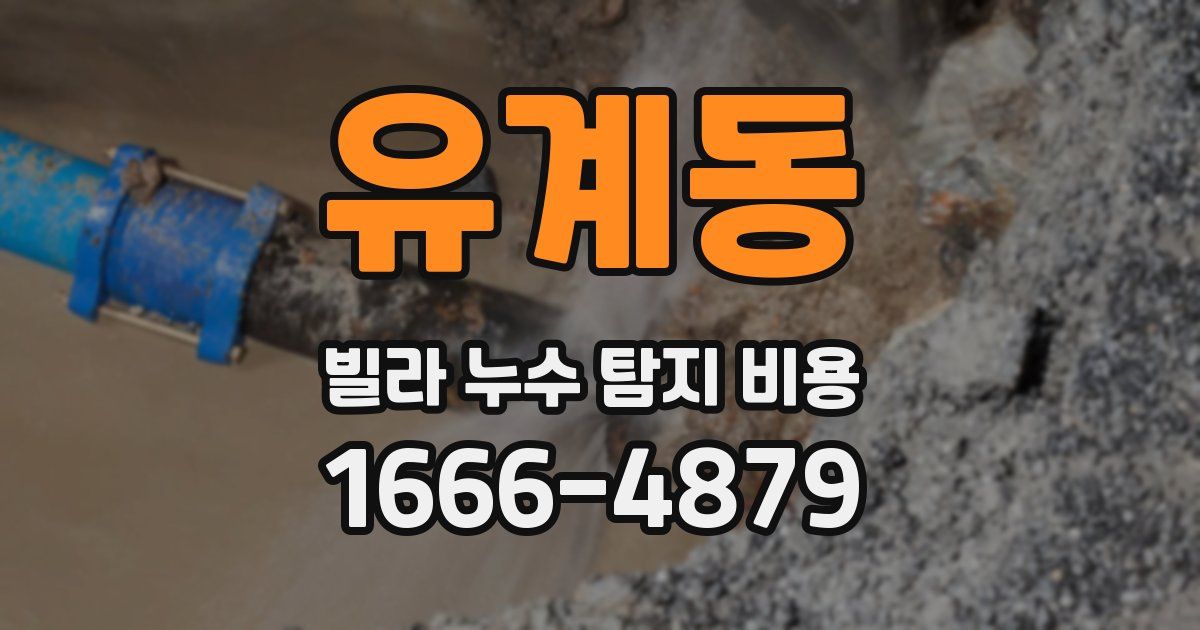 유계동 빌라 누수 탐지 비용