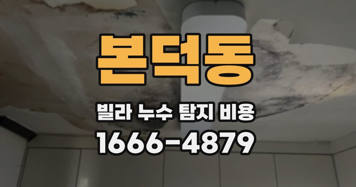 본덕동 빌라 누수 탐지 비용