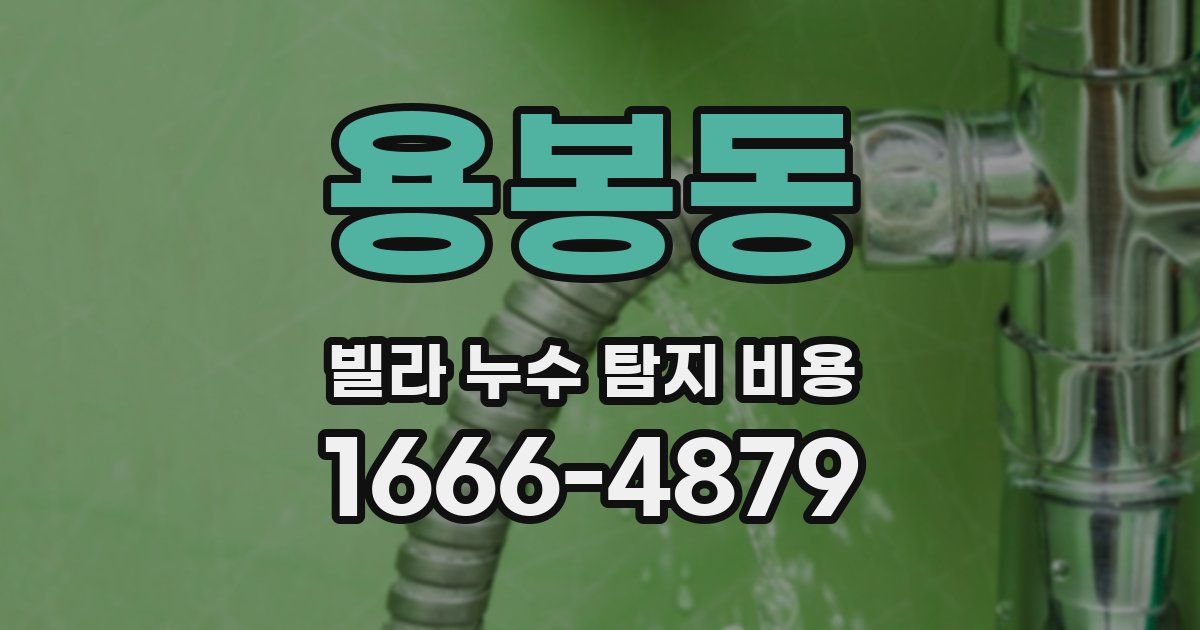 용봉동 빌라 누수 탐지 비용