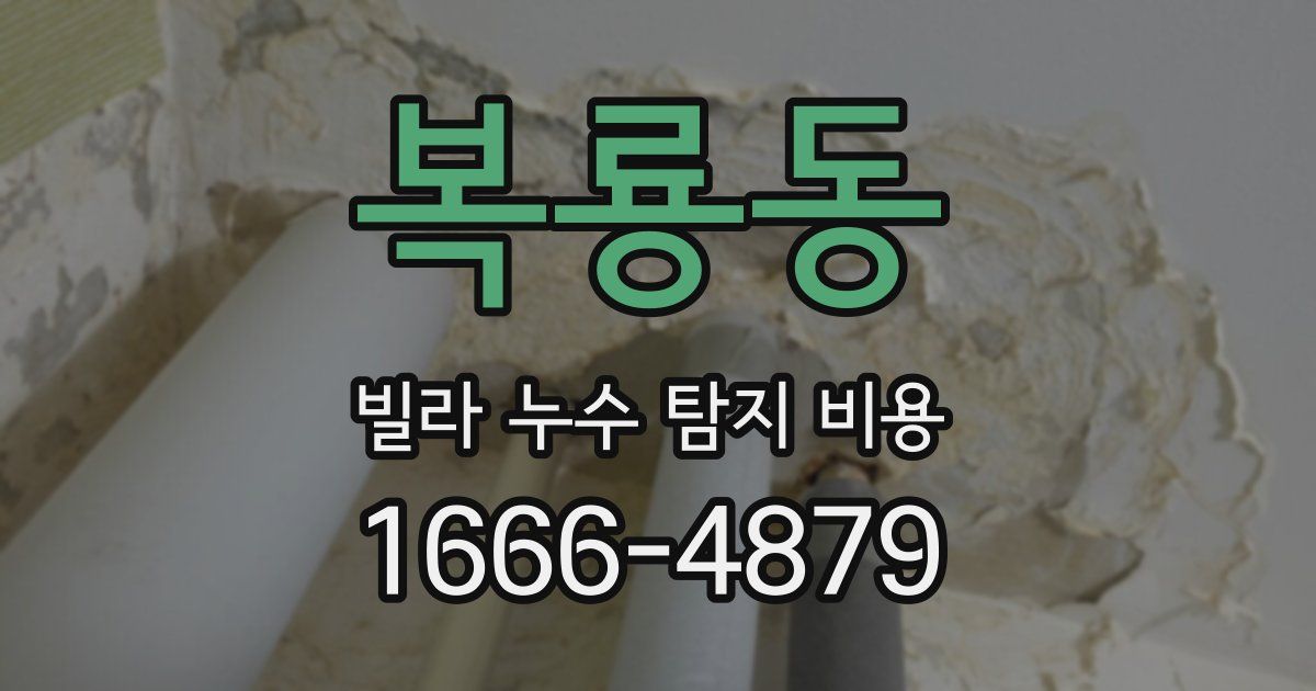 복룡동 빌라 누수 탐지 비용