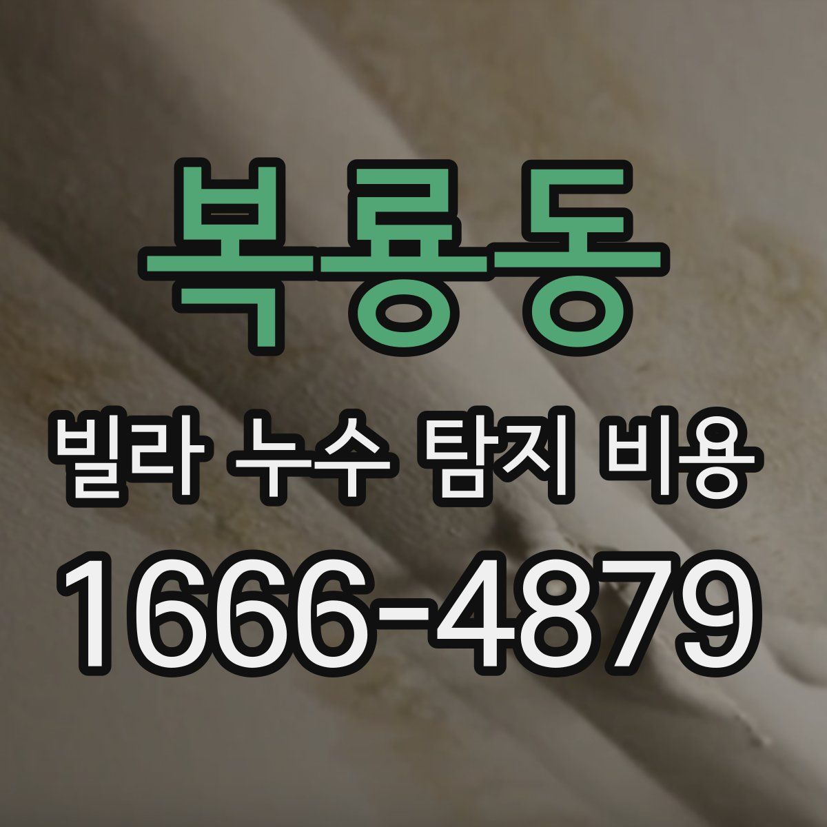 복룡동 빌라 누수 탐지 비용