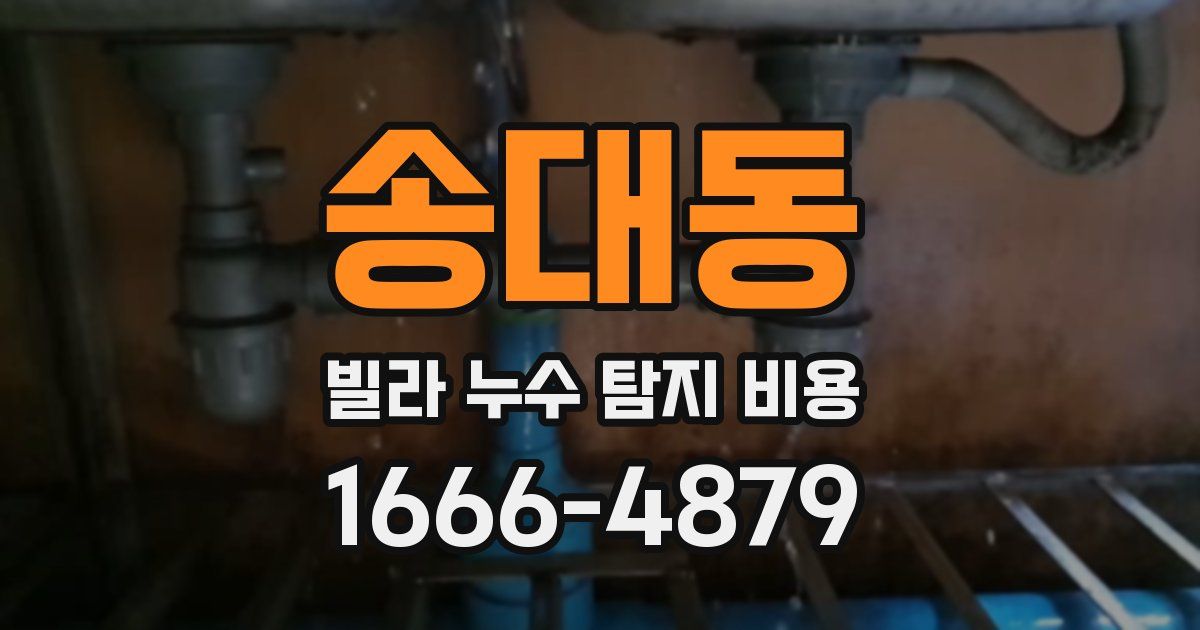 송대동 빌라 누수 탐지 비용