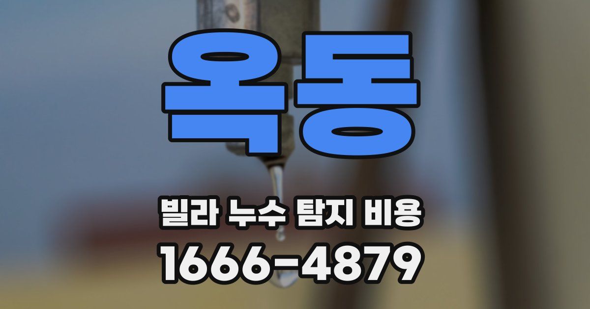 옥동 빌라 누수 탐지 비용