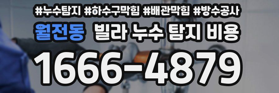 월전동 빌라 누수 탐지 비용