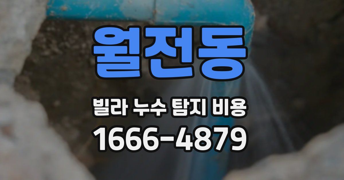 월전동 빌라 누수 탐지 비용