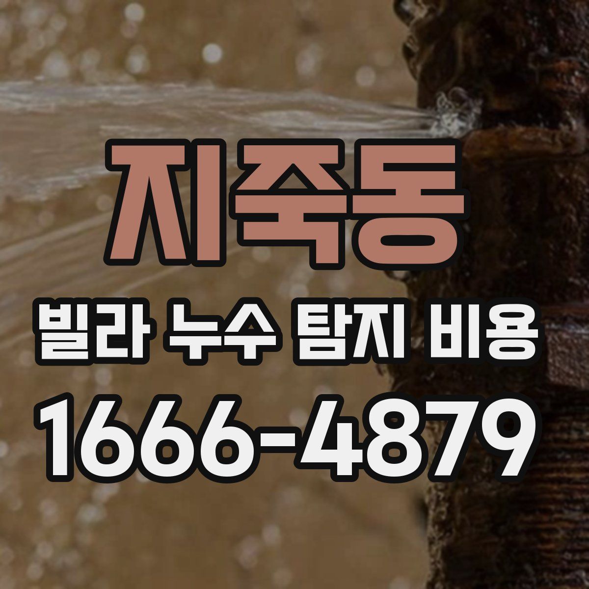 지죽동 빌라 누수 탐지 비용