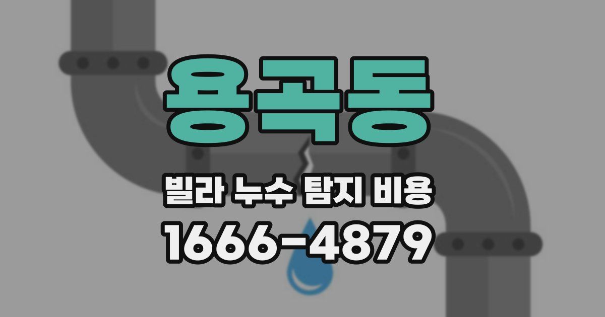 용곡동 빌라 누수 탐지 비용